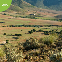 naturaleza Mojácar