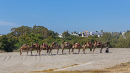 Turismo en Mojácar. Playa de Marina de la Torre