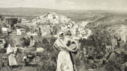 Mojaqueras en la Huerta Alta