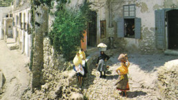 Mojaqueras en el Torreon
