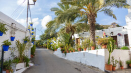 Sopalmo, lugar escondido de Mojácar