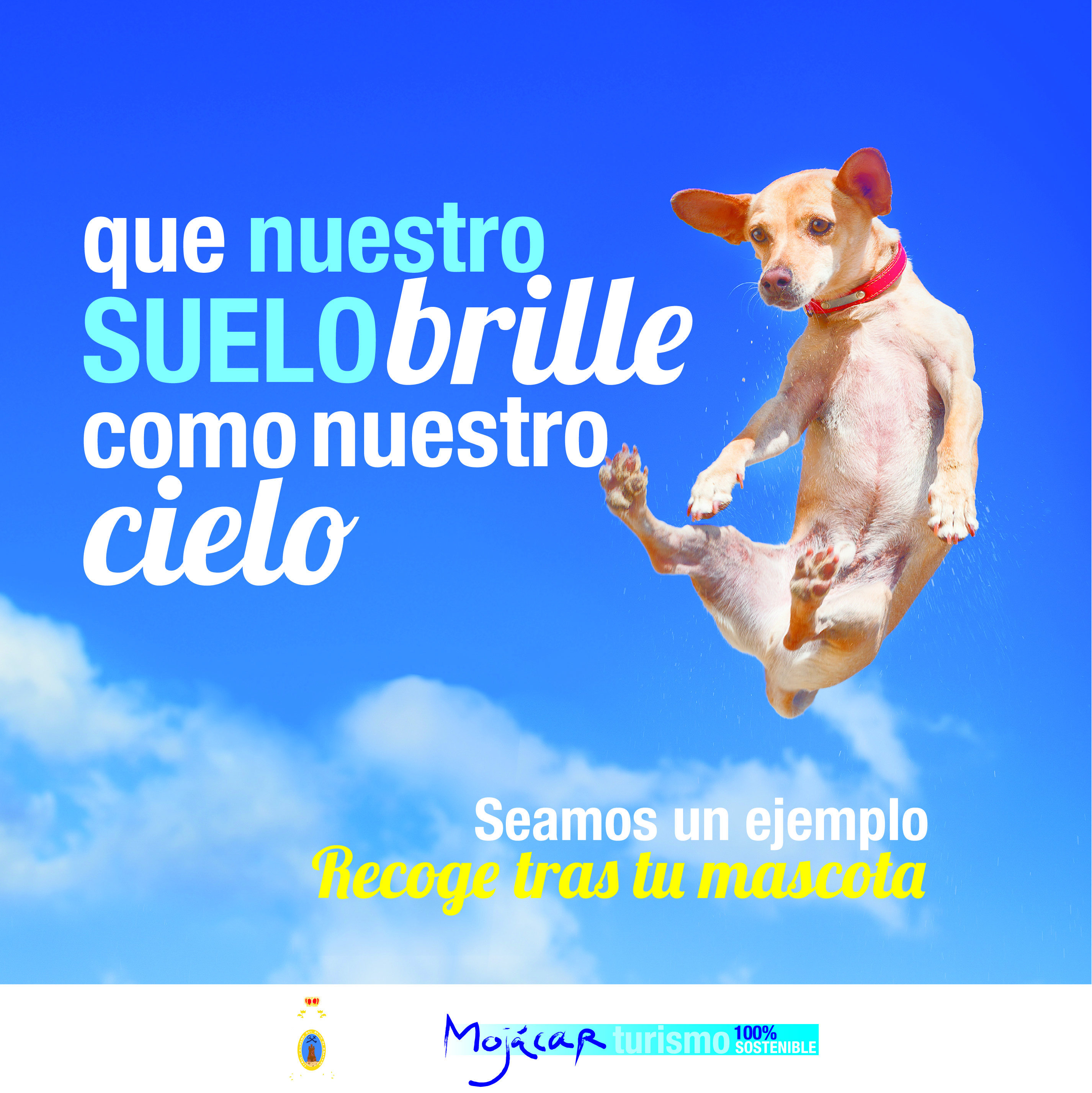 playa perros