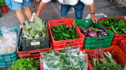 Mercadillos Mojácar