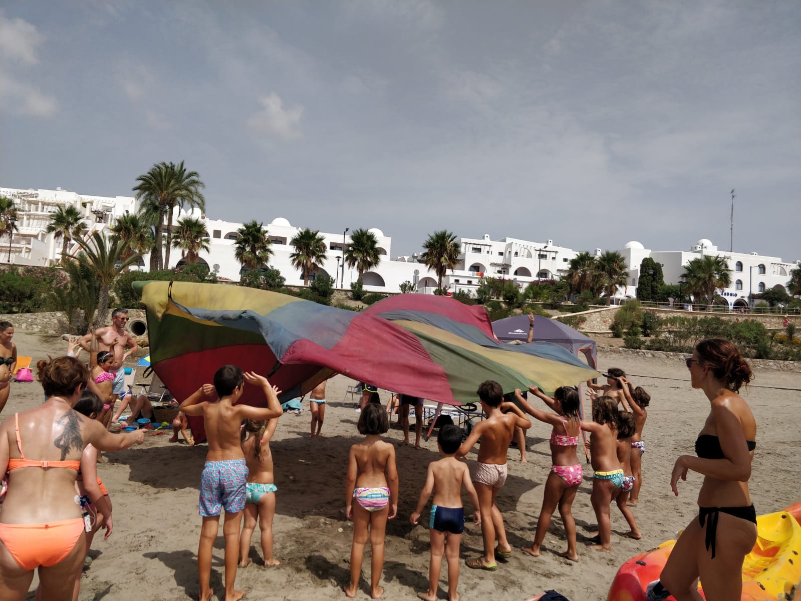 proyecto caretta en mojacar